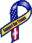 we support our troops